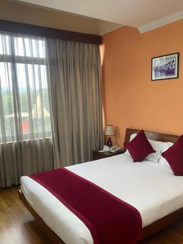 Deluxe Double or Twin Room image 4