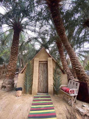 Garden, Forest Camp Siwa - كامب الغابة in Siwa