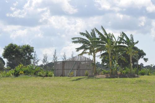Farming In Rhythm