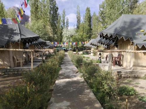 Заобикаляща среда, Tongspon Camp Nubra in Nubra Valley