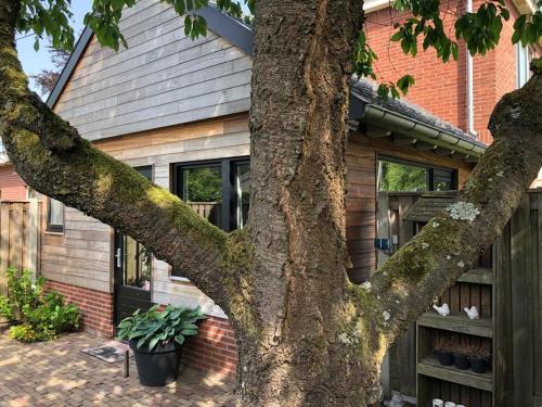 B & B Chawe, Enschede (fotografie 6)