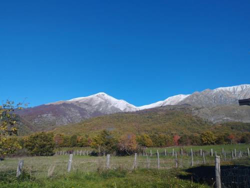 . Appartamento Amatrice