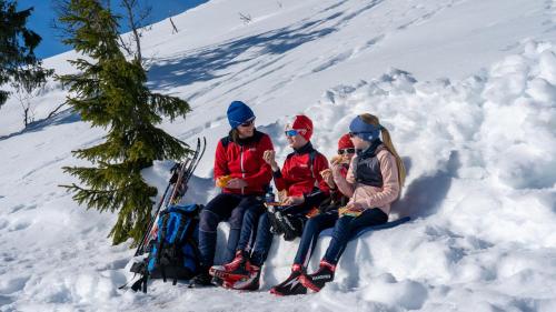 Villa Sole Trysil - image 9