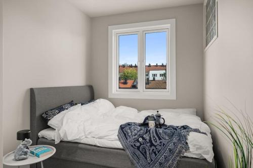 STYLISH - WORK FROM HOME - COZY - FAST WiFi