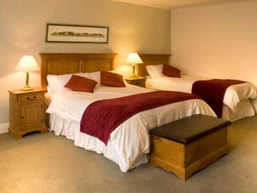Ballycannon Lodge - image 5