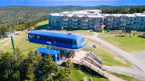 ML184 1st Floor No Elevator EZ Gated Parking WiFi in Snowshoe, USA