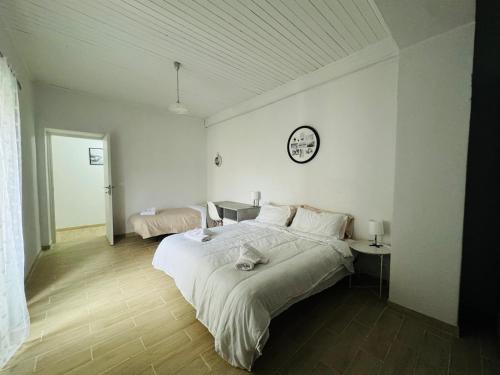 Splendido Appartamento a Pavia