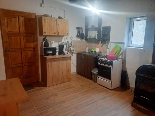 Studio cu bucatarie , baie , scara interioara , etaj cu dormitor openspace , curte cu grill, terasa in Turnu Ruieni