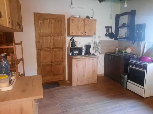 Studio cu bucatarie , baie , scara interioara , etaj cu dormitor openspace , curte cu grill, terasa in Turnu Ruieni