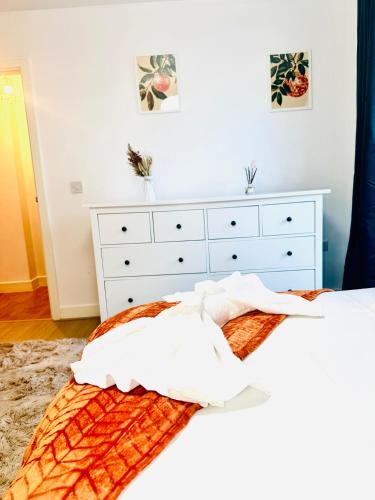 Elegant Two Bedroom Apartment In the Centre with Parking and Garden, Birmingham (zdjęcie 7)