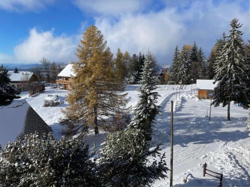 Duplex 6 pers - Centre station - Ski/Randonnées - Balcon - FR-1-393-177 (Duplex 6 pers - Centre station - Ski/Randonnees - Balcon - FR-1-393-177) in แซ็ง-มิเชล-เดอ-แชยอล