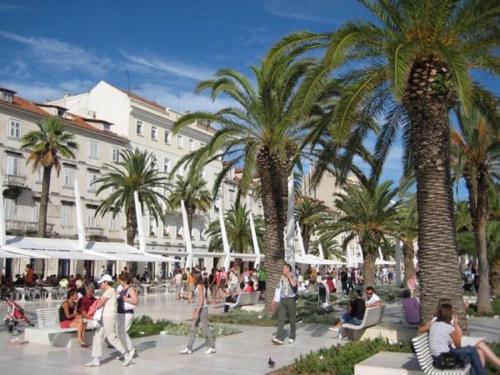 Apartment Mystic, Split