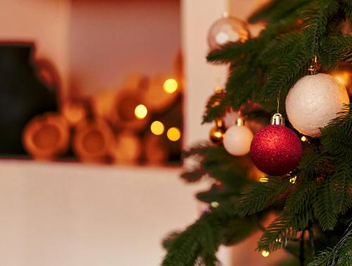 Triple Room - Christmas Offer