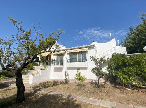 ทัศนียภาพภายนอกโรงแรม, Yogargano in มอนเต ซันต์ อันเกโล