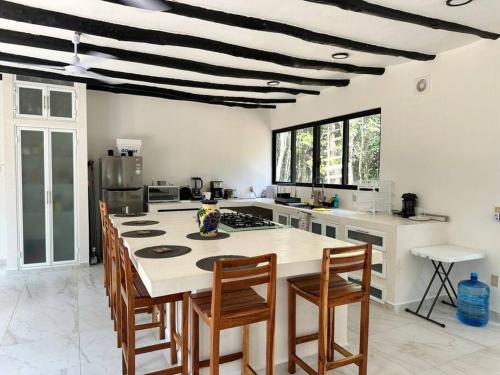 Villa San Andres The Unique Private Jungle Villa in Solferino