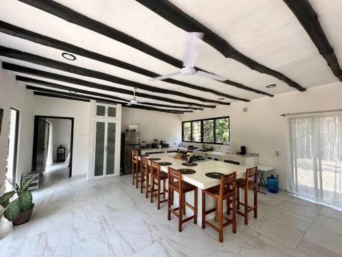 Villa San Andres The Unique Private Jungle Villa in Solferino