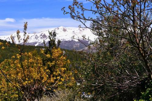 Casa Arrayán, San Carlos de Bariloche (foto 8)