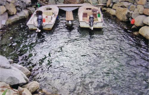 外部景觀, 埃德菲尤爾西馬達斯度假屋 (Holiday Home Eidfjord Simadalsv) in 埃德福德市中心
