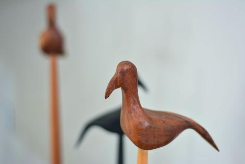 Refúgio do Campeche - SDI008