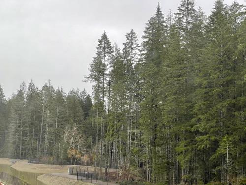 A környék, Cozy Oasis in Port Orchard - Private 1BR Suite with Trails in Bremerton (Washington)