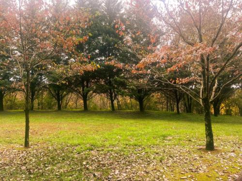 Unit 5106 - Mountain View Condos - Free Attraction Ticket including Dollywood, Pigeon Forge (fotografie 7)