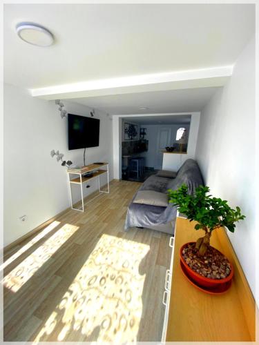 . Les Papillons Studio La Foulnerie avec cour autonome 61270 Rai proche 61300 l'Aigle -Sanateflo-