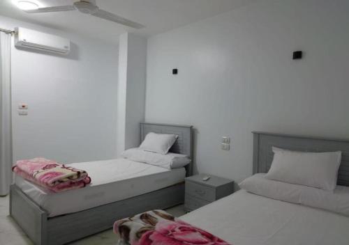 Alara Hostel 