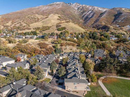 Snowbird Sanctuary - image 11