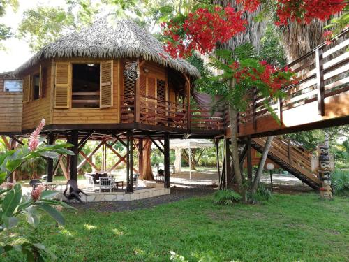 View, Gite du Manial "Cabane du sentier des etoiles" in Pointe-Noire