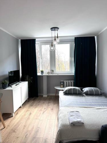 Studio in the Center - Prime Location, Warsaw