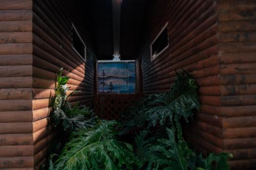 Cabañas Barú Dota (Cabanas Baru Dota) in Santa María