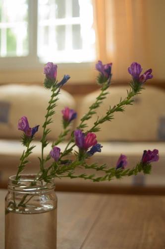 Casa equipada para 8 personas a tres cuadras del mar - Colibrí 1