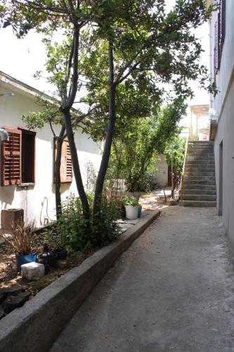 Apartments by the sea Zaglav Dugi otok - 8134 - image 3