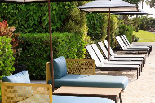 617498795 Kimpton Surfcomber Hotel by IHG