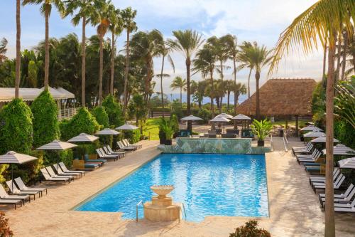 617498811 Kimpton Surfcomber Hotel by IHG