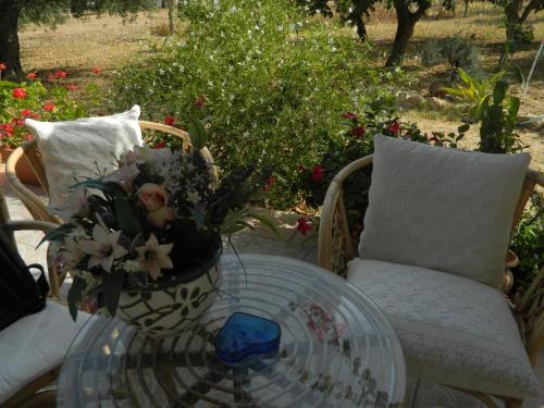 Uliveto House - image 3