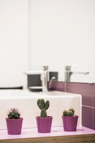 Small One-Bedroom Apartment - Attic image 8