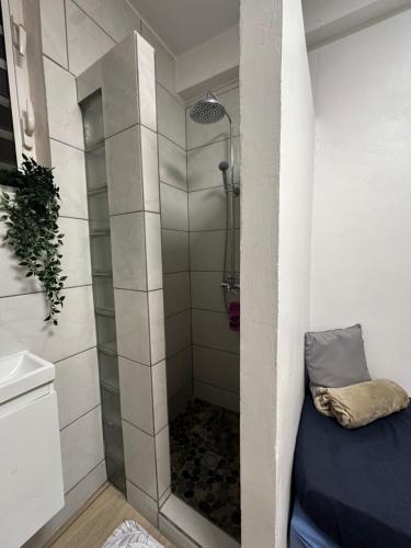 Chuveiro, Chambre équipée idéal Voyageur Solo (Chambre equipee ideal Voyageur Solo) in Fort-de-France