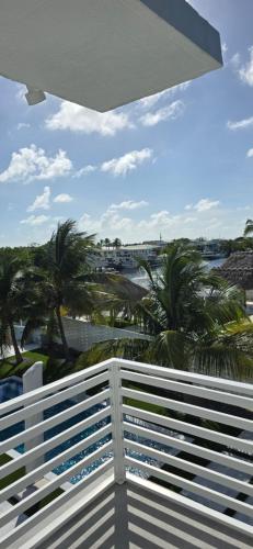 Oasis in Key Largo, USA