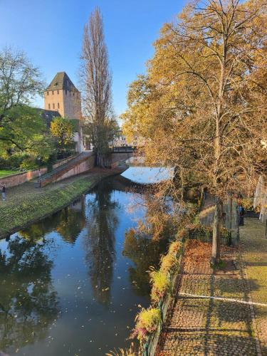 La Petite Alsacienne, Strasbourg (photo 9)