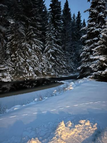 Maaseutumajoitus, Kukkasaari in 佩賴塞奈約基