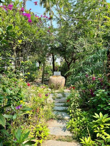 Hoi An Mercy homestay - 전망