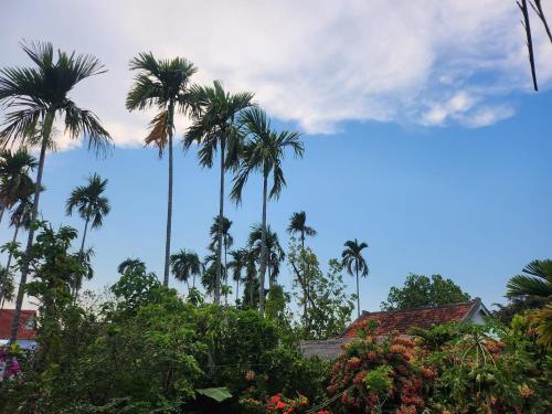 Hoi An Mercy homestay - 전망