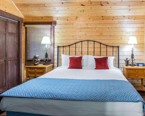 1 king bed, 2 twin beds, 1 sofa bed