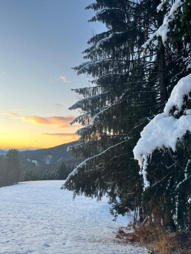 Omgivelser, Ferienhaus Masser in Schwanberg