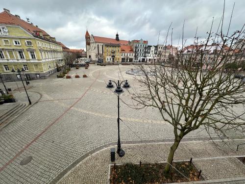 Apartament Kleopatra - image 4