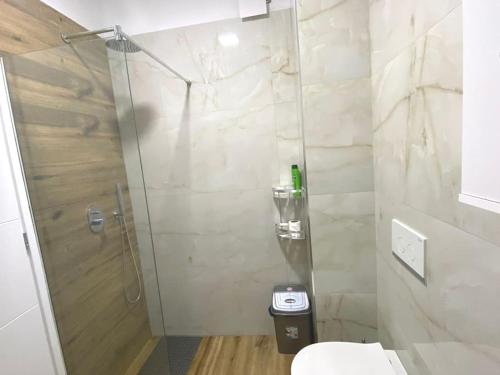 Ida Central Studio Apartment - image 3