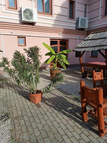 Udvendig, Malom Panzio in Kiskunfelegyhaza