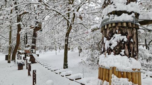 Zöld Relax Apartments - Location saisonnière - Budakeszi