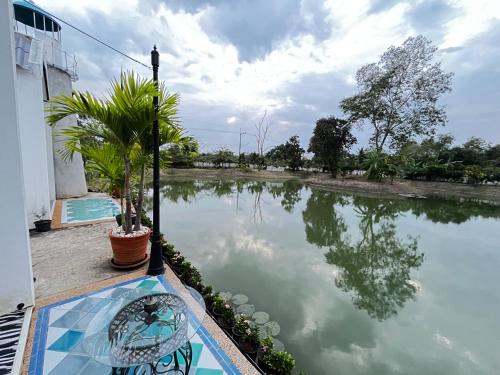 Cozy breezing countryside Pet Cozy breezing countryside Pet